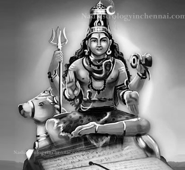 Siva Nadi Astrology Chennai